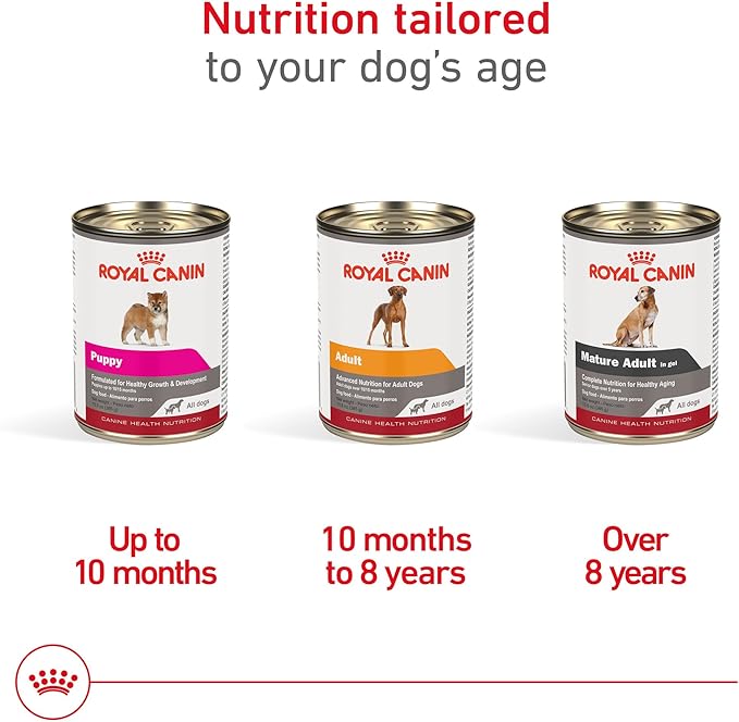 Royal Canin Canine Health Nutrition Mature Adult In Gel Canned Dog Food, 13.5 oz can (12-count)