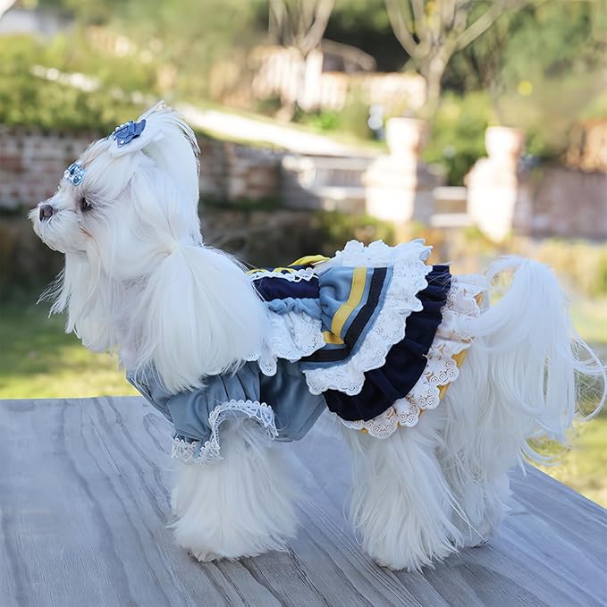 MengYu Princess Dresses for Small Dog Lolita Clothes for Cat Velvet Costume Pretty Lace Outfits Fall Costumes (Blue, XS)