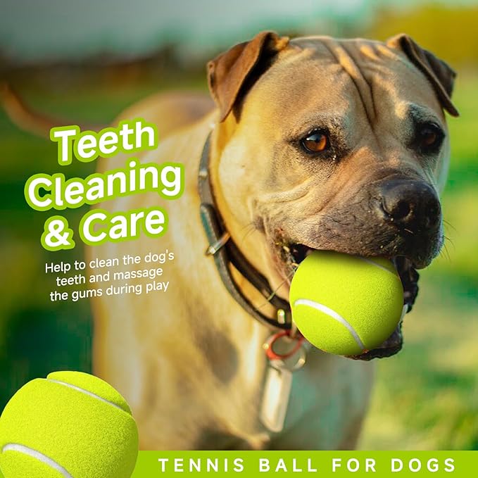 HETOO Tennis Balls for Dogs: 6 Pack 2.5 Inch Dog Balls- Dog Tennis Ball- Outdoor Dog Toys Dogs Water Toys- Dog Toys Ball for Medium Large Dogs for Training Exercise Fetch- Yellow