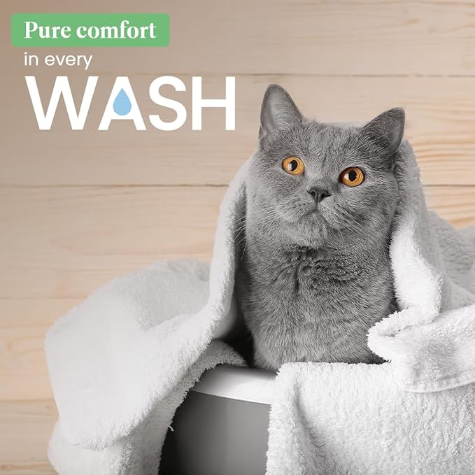 Best Shot Scentament Spa Seasonal Facial & Body Wash, Mango Maui, 16 oz