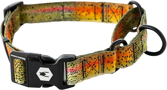 Wolfgang Heavy Duty Martingale Dog Collar with Quick Release Nylon Buckle for Walking & Training, CutBow Print, Medium