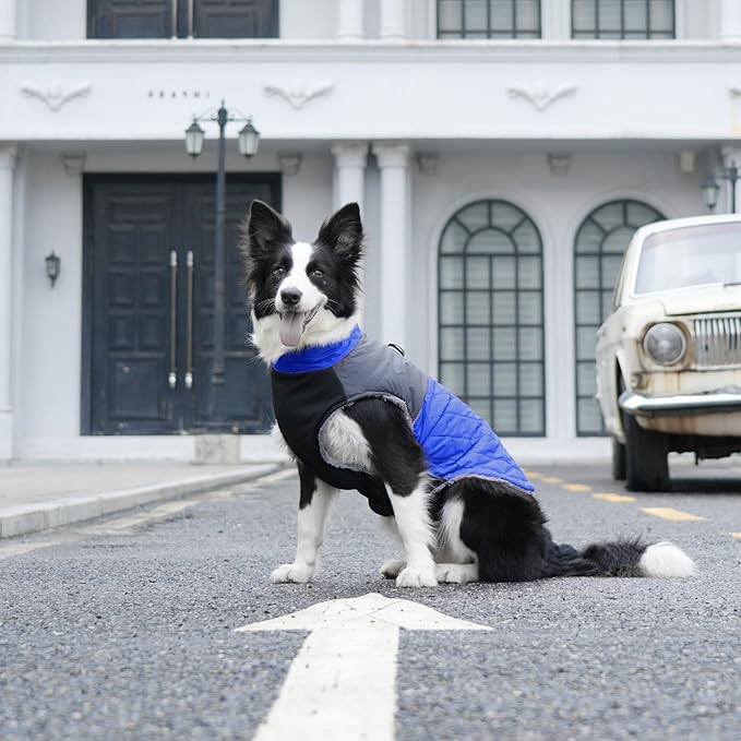 Warm Fleece Dog Coats for Small Dogs,D-Rings Waterproof Puppy Jacket for Cold Winter,Blue M