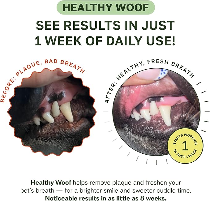 Dental Powder for Dogs Teeth Cleaning. Complete Oral Care Bone Broth. Made in The USA. 2.1 oz, 30 Scoops