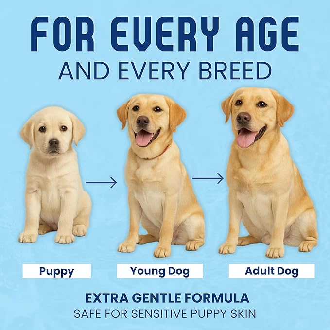 Organic Dog Shampoo - Puppy Oatmeal Shampoo for Itchy Skin Relief - Hypoallergenic for Sensitive Skin, for Dogs of All Ages, Deodorizes, Tearless, Made in USA, 16oz (Vanilla Ice Cream)