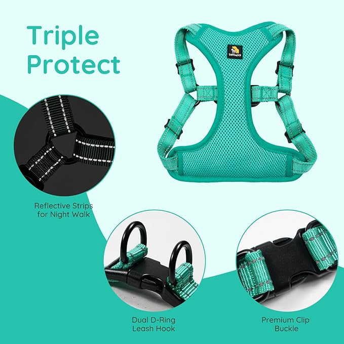 BELLA & PAL Adjustable Step-in Dog Harness, Puppy No-Pull Vest with Leash Set for XS/Small & Medium Dog, Breathable All-Weather Mesh, Reflective Strip, Secure Hook & Loop, Buckle Closure, Dual D-Rings