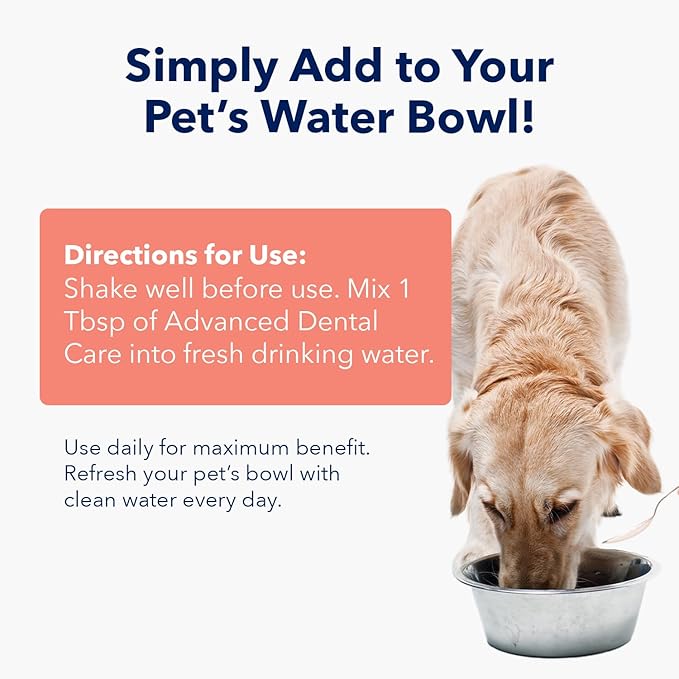 Vets Preferred Oral Care Water Additive for Dogs - Healthy Mouth Dog Breath Freshener Mouthwash - Fights Bad Breath, Removes Plaque and Tartar - Prevents Gum Disease - Mild Mint Flavor
