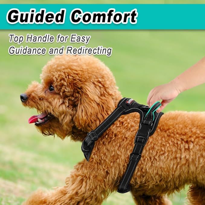 BARKBAY Dog Harness No Pull for Small Dogs - Adjustable, Reflective, Comfortable, No Choke, Heavy-Duty - Perfect for Outdoor Training, Walking, and Hiking - Strong & Durable - XS & Black
