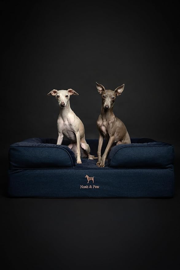 NOAH & PAW Large Dog Bed, 35x25x11 Inch, Orthopedic Dog Beds, Eggshell Memory Foam Infused with Cooling Gel, Inner Cover, Waterproof, Machine Washable (Denim Sofa Collection)