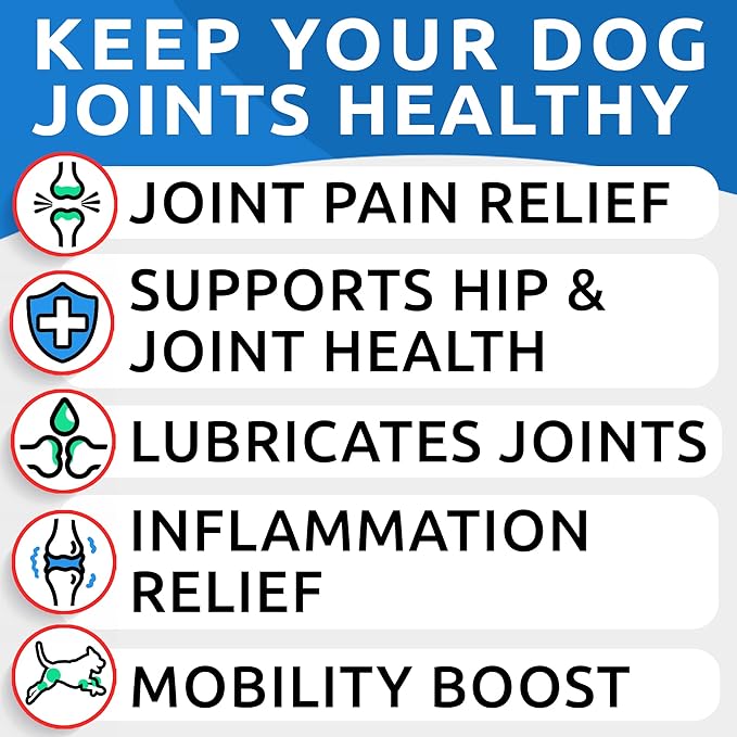 Glucosamine Chondroitin Dog Hip & Joint Supplement - Joint Pain Relief - Hip & Joint Chews for Dogs - Joint Support Large Breed - Senior Doggie Vitamin Pills Joint Health - (240 Treats - Peanut Butte)