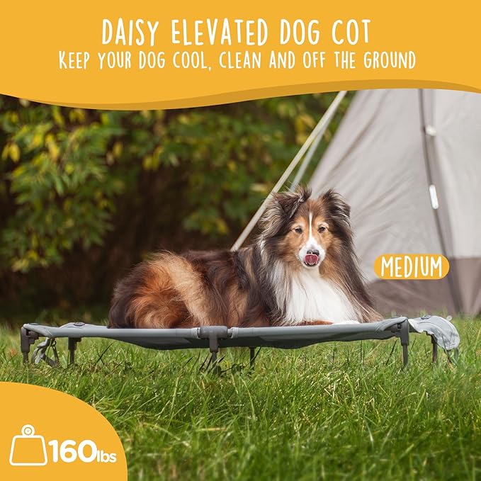 Daisy Cot, Medium Foldable Elevated Dog Bed, Portable Raised Outdoor Folding Dog Cot, Cooling, Chew Proof, Waterproof, Heavy Duty Up to 160 lbs for Camping/Home, Grey, 32"x 19"x6"