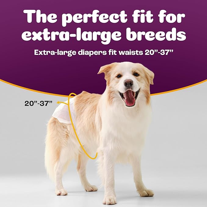 Inspire Pet Care Dog Diapers Female Dogs | Bulk Value Doggie Incontinence, Accidents, for Heat, Pee or Period and Housebreaking (X-Large (28 Count))