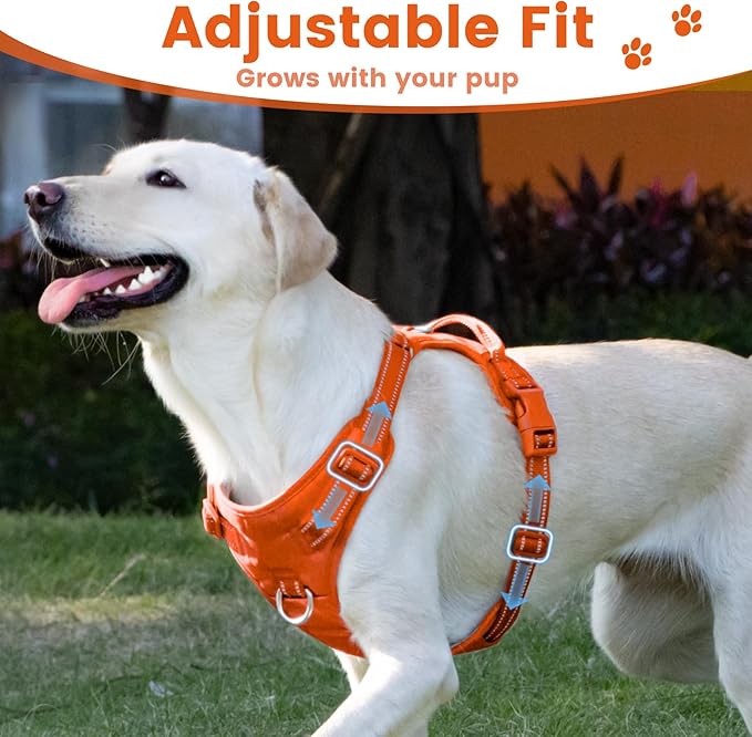 No Pull Dog Harness, Reflective Puppy Vest for Small Medium Large Sized Dog(Orange,XL)