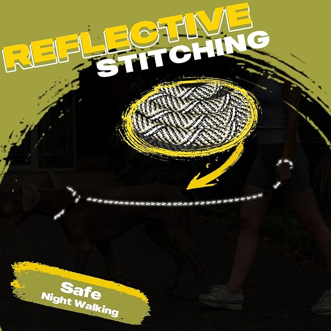 Fida Durable Slip Lead - 6 FT x 3/8" Heavy Duty Dog Loop Leash for Small Dogs and Puppies, No Pull Pet Training Leash with Highly Reflective Stitching (Grey)