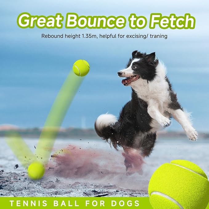 HETOO Tennis Balls for Dogs: 6 Pack 2.5 Inch Dog Balls- Dog Tennis Ball- Outdoor Dog Toys Dogs Water Toys- Dog Toys Ball for Medium Large Dogs for Training Exercise Fetch- Yellow