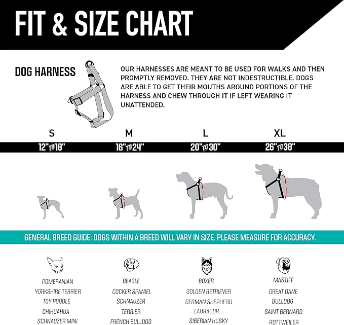 Wolfgang Heavy Duty Adjustable Dog Harness, Pull-Tested to Over 800 lbs for Walking & Training, Quetzal Print, Medium