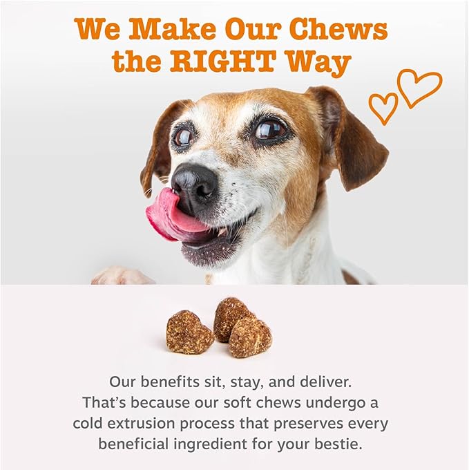 Zesty Paws Vet Strength Dog Allergy Relief Chews, Dog Probiotics for Itchy Skin and Ears, Smoked Cheese, 90ct