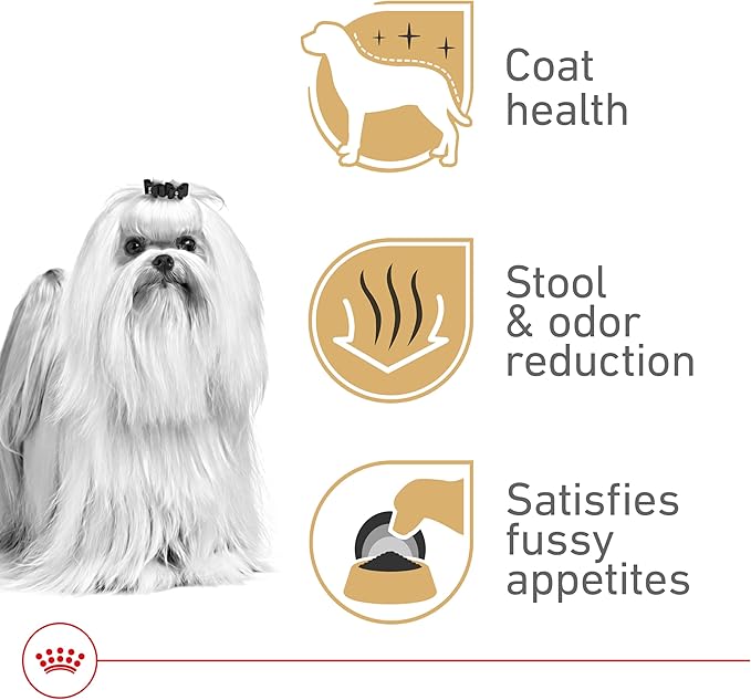Royal Canin Maltese Adult Dry Dog Food, 2.5 lb bag