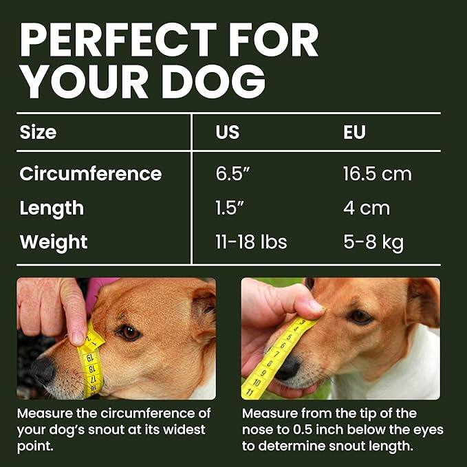 BRONZEDOG Dog Muzzle Wire Basket Metal Mask for Small, Medium and Large Dogs, Breathable, Dog can Drink, Adjustable, Padded, Training, Prevents Biting (Size 2: Jack Russell Terrier)