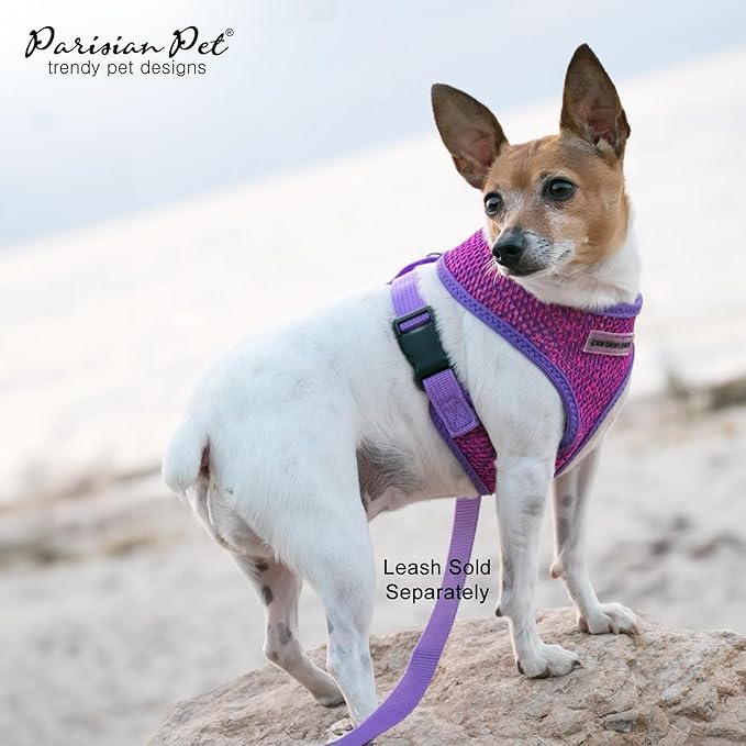 Parisian Pet Girl Dog Harness - Soft Padded Purple/Pink Dog Vest Harness - 100% Mesh Fabric Dog Harness Small-Sized Dog - Cooling Dog Harness for Walking, Running, and Hiking - Puppy Harness - XS