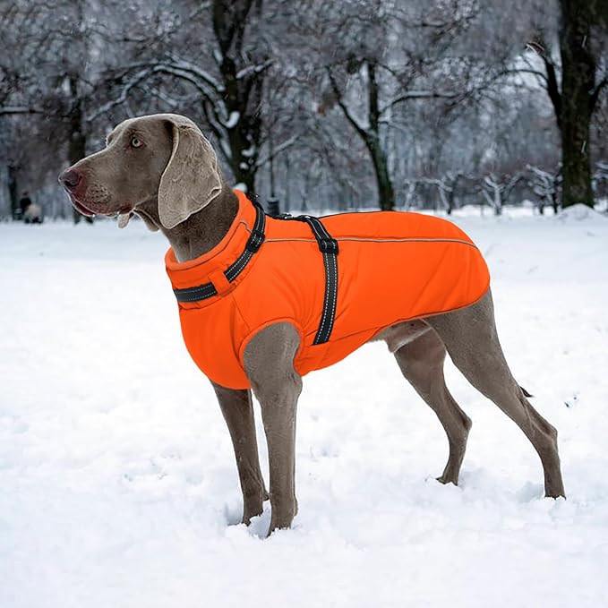 Lelepet Dog Winter Coat Waterproof Dog Jacket with Harness Built in Windproof Reflective Cold Weather Coats for Small Medium Large Dogs, Thermal Fleece Lined Coats for Walking Camping, Orange, XS