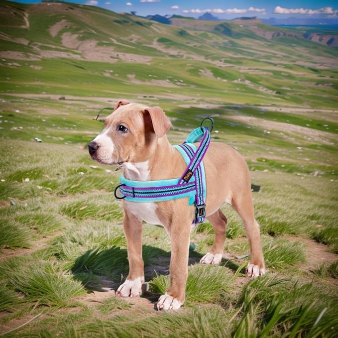 Didog Soft Flannel Padded Dog Vest Harness, No Pull/Quick Fit Reflective Dog Strap Harness, Easy for Training Walking (S:Chest 18-22", Mixed-Blue)