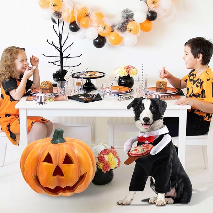 NACOCO Dog Halloween Waiter Costume - Pet Pizza Outfit Cute Funny Cosplay Clothes Apparel with Pizza Party Holiday for Small Medium and Large Dogs Cats(Black, M)