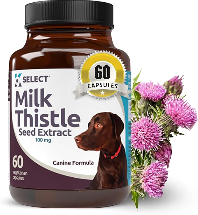K9 Select Milk Thistle for Dogs, 100mg - 60 Vegetable Capsules - Canine Liver Health Milk Thistle Supplement - Milk Herbal