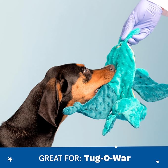 Barkbox Best of BarkBox Bundle – Squeaky Dog Toys – Plush Chew Toys – Puppy and Pet Toys for Medium and Large Dogs – Gordon The Sloth, Dingbert The Dragon, and Ollie The Octopus