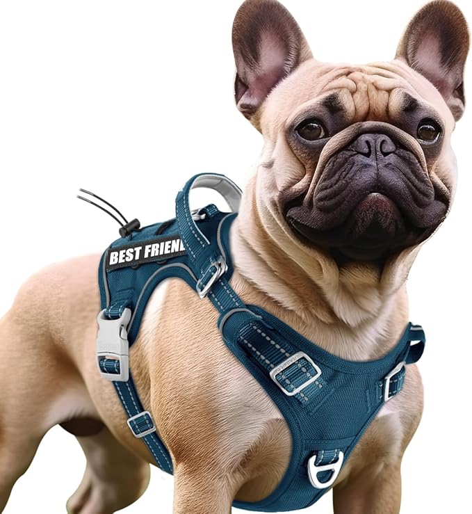 BARKBAY Service Dog Vest Tactical Dog Harness Medium Large Sized Dog Tags Personalized No Pull Adjustable Harness Reflective Working Training Easy Control Military Molle System(Legion Blue,S)