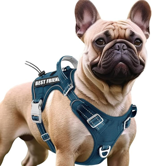 BARKBAY Service Dog Vest Tactical Dog Harness Medium Large Sized Dog Tags Personalized No Pull Adjustable Harness Reflective Working Training Easy Control Military Molle System(Legion Blue,S)