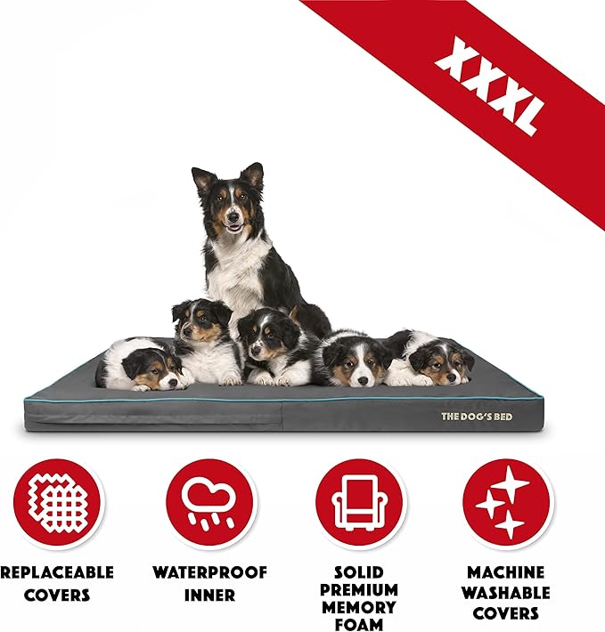 The Dog’s Bed Orthopedic Memory Foam Dog Bed, XXXL Grey/Blue 64x44x4, Pain Relief for Arthritis, Hip & Elbow Dysplasia, Post Surgery, Lameness, Supportive, Calming, Waterproof Washable Cover