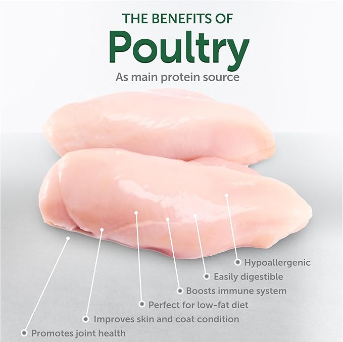 Nature's Protection Superior Care White Cats Grain Free Dry Cat Food with Herring and Oral Care Treats with Poultry