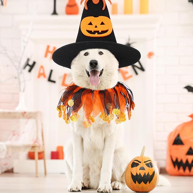 6 Pcs Halloween Pet Costume Cat Witch Halloween Costume Wizard Cat Clothes Cloak with Tutu Collar and Hat for Small Kitten Dogs Cosplay Party Decor