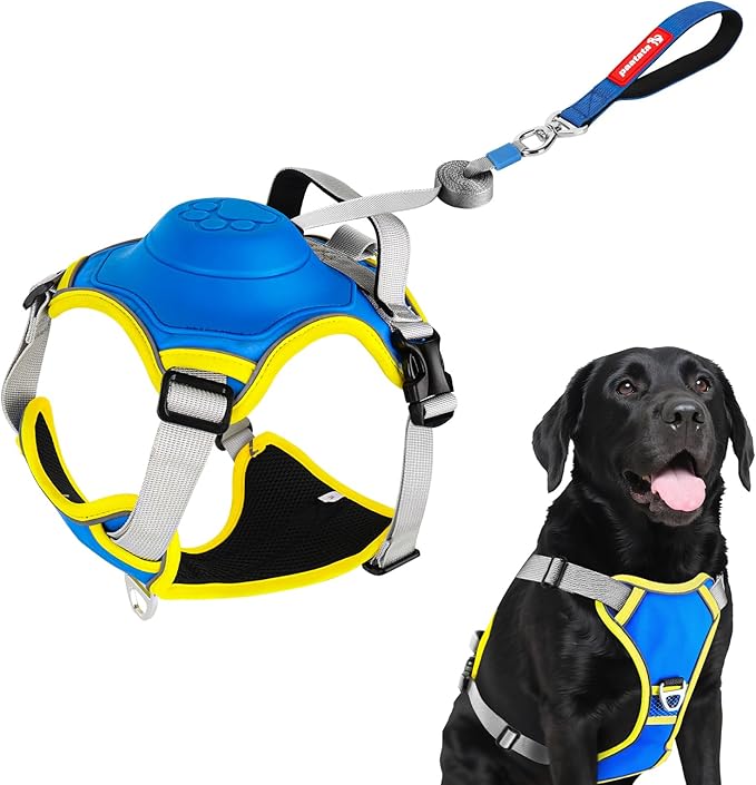 No Pull Dog Harness, 2 in 1 Retractable Harness with Auto-Lock, Reflective Breathable Mesh and Handle, Adjustable Leash Set for Small, Medium,Large Dogs,Cats (Color 2, M)