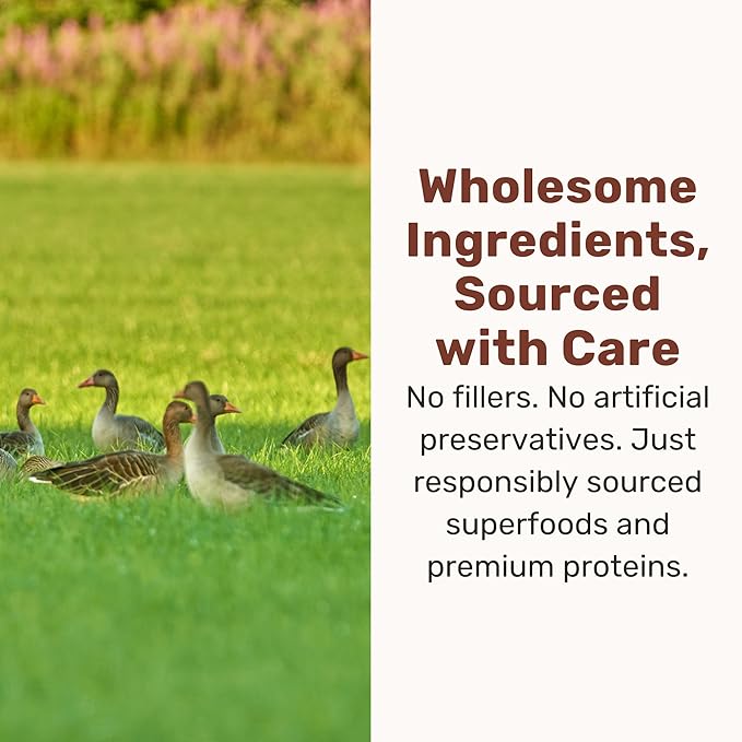 Superfood Nuggets- Premium, Freeze-Dried raw Dog Food Topper or Treat. Powerful Nutrient-Dense Ingredients. No Artificial additives. Duck and Kale Formula 8oz - 4pk Bundle