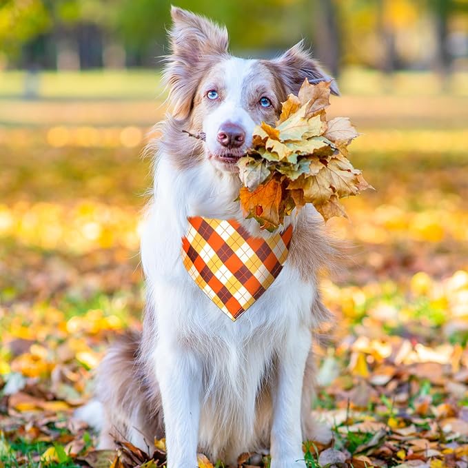 Newwiee 200 Pcs Fall Dog Bandanas Bulk for X-Large Dogs Thanksgiving Bandanas Pumpkin Bibs Triangle Handkerchief Adjustable Pet Scarf Thanksgiving Triangle Handkerchief Soft Dog Kerchief