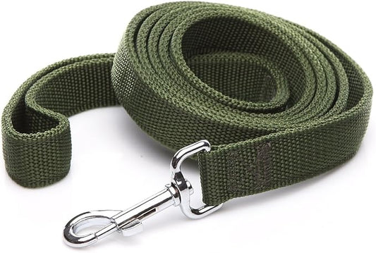 Strong Nylon Dog Leash 2-Layer, 4 FT to 7FT Long, 1 Inch Wide for Medium & Large Dogs (Green, 1" x 2 FT)