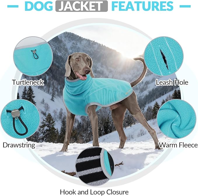 ROZKITCH Reversible Dog Sherpa Jacket Super Warm Fleece Sherpa Sweater with Embroidery, Adjustable Double-Sided Plush Sweatshirt for Small Breeds Bluegreen M