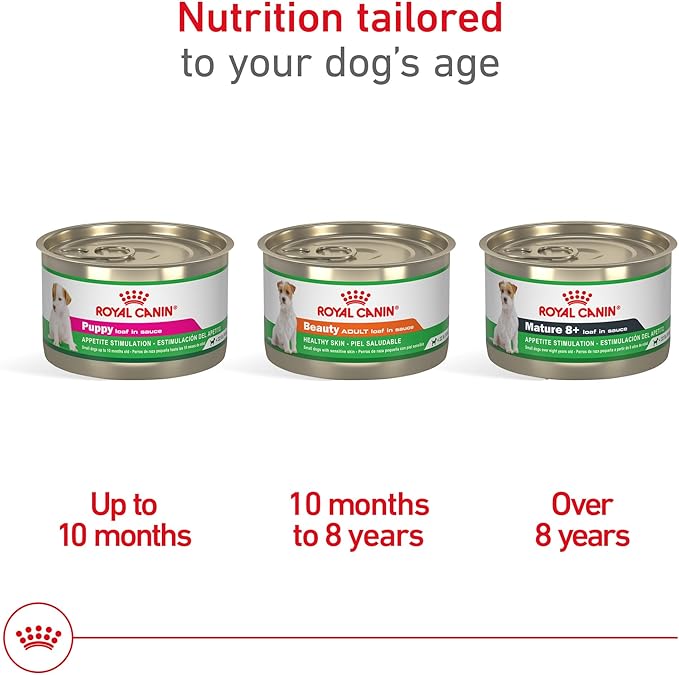 Royal Canin Canine Health Nutrition Adult Beauty Loaf in Sauce Dog Food, 5.2 oz (Pack of 24)