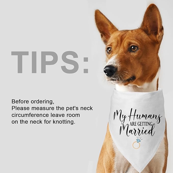 2 Packs My Humans are Getting Married She Said Yes Bandana for Wedding Engagement Photos, Bridal Shower Gift,Dog Wedding Outfit, Dog Engagement Announcement, Engagement Gifts