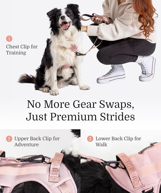 2025 New Edition, Fei & Eve Classic Dog Harness - Quick-Release Buckles | 3-Point No-Pull Control | Heavy-Duty 900D Nylon | Dual Safety Handles | Breathable Mesh | Adjustable Fit | Small,Pink