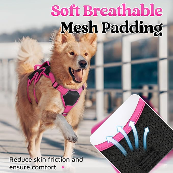 rabbitgoo Escape Proof Dog Harness Large Dogs, Soft Padded Full Body Pet Harness, Reflective Adjustable No Pull Vest with Lift Handle and Leash Clip for Walking Hiking Training, Pink & Black, XL