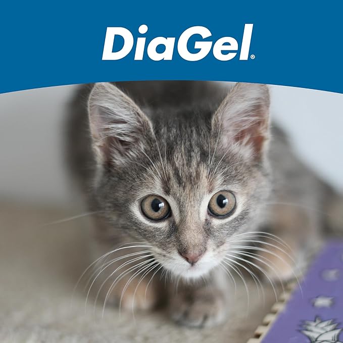 DiaGel for Kittens - Orally Administered Gel for Occasional Loose Stools and Digestive Upset - Natural Pet Products - Van Beek Natural Science