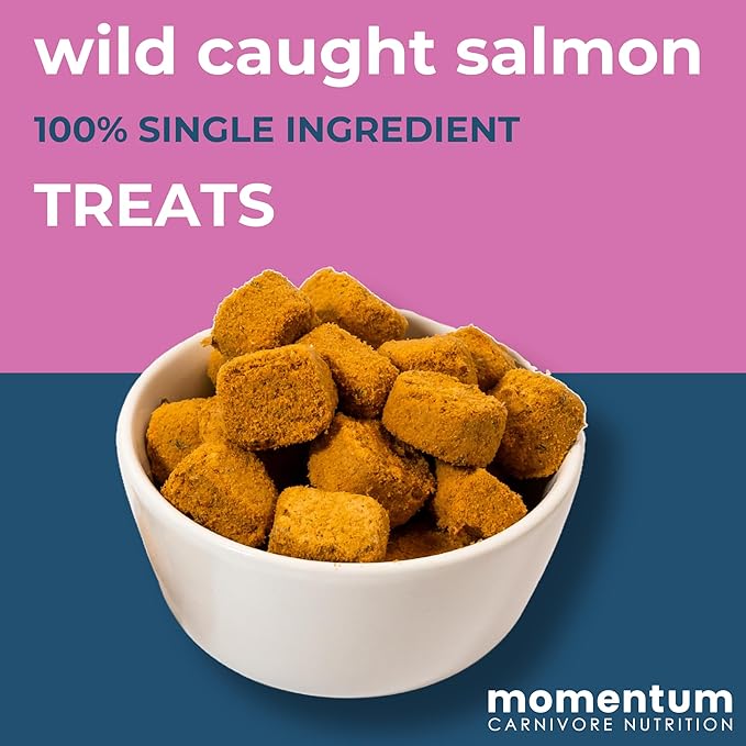 Momentum Carnivore Nutrition Wild-Caught Salmon Dog and Cat Treats - Freeze-Dried Raw - High Protein, Skin & Coat Support, Omega 3s - 3 oz Bag