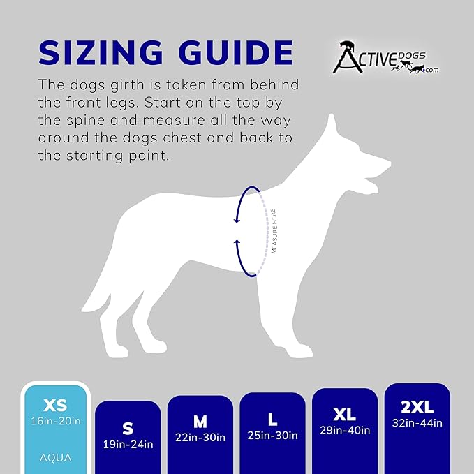 ActiveDogs Full Service Dog Kit - XS Aqua Service Vest with Handle, ID Holder, ADA Cards, Medical Alert Keychain, Leash & Patches