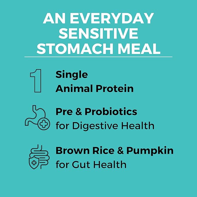 KOHA Limited Ingredient Bland Diet Dry Food for Dogs - Beef & Brown Rice Recipe, Sensitive Stomach Dog Food - Pumpkin for Digestive Support, 3.5 lbs