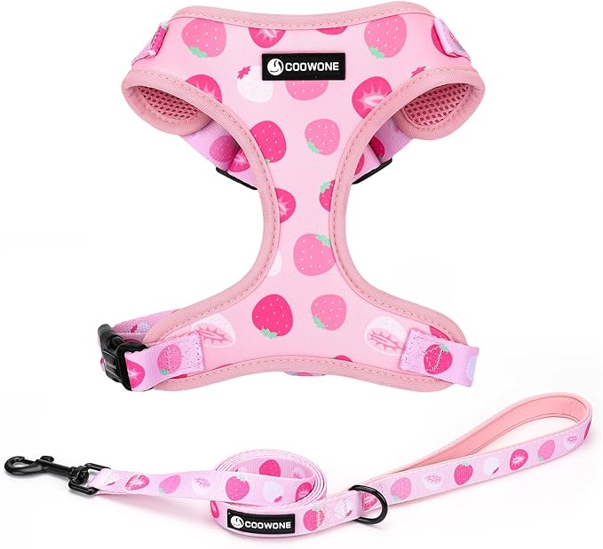 Dog Harness and Leash Set, Adjustable Dog Harness, Dog Leash, No Pull No Choke Puppy Harnesses for Walking Training for Small Medium Pet (Strawberries, XS(Chest 9.9-13.5", Neck 7.8-10.2"))