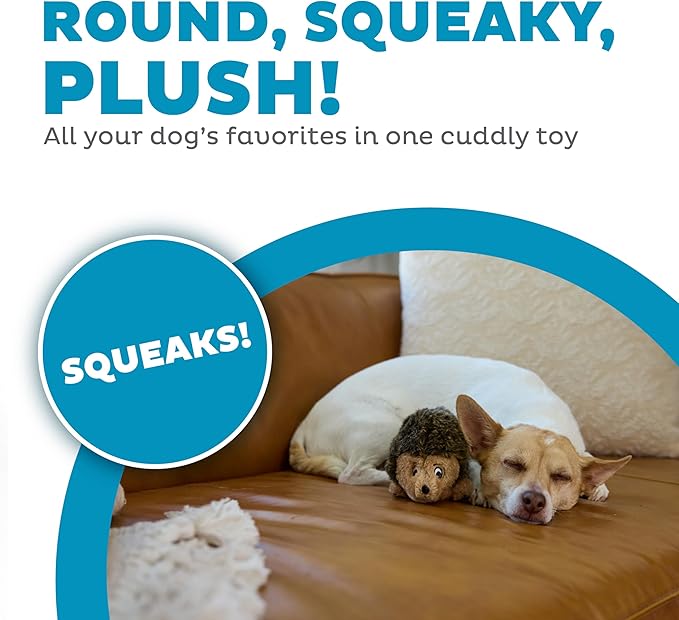Outward Hound Hedgehogz Plush Dog Toy, Small