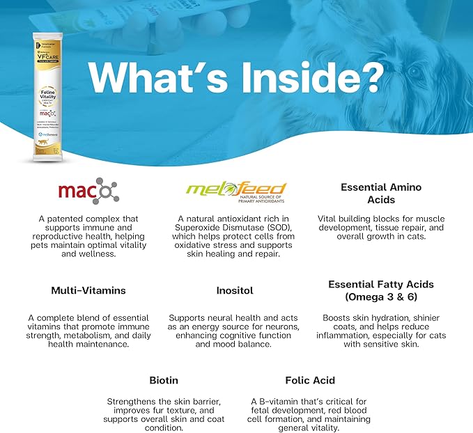 Feline Vitality Cat Supplement – Lickable Paste for Cat Immune Support & Cat Skin Allergy Relief – Daily Multi-Vitamin with Omega 3, Biotin, Prebiotics, Mac, Taurine – 30 Sachets
