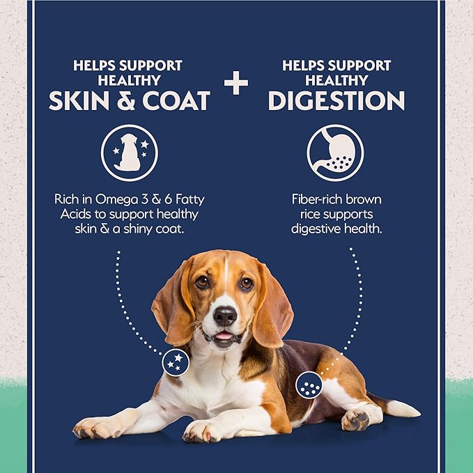 Natural Balance Limited Ingredient Adult Grain-Free Dry Dog Food, Chicken & Sweet Potato Recipe, 4 Pound (Pack of 1)